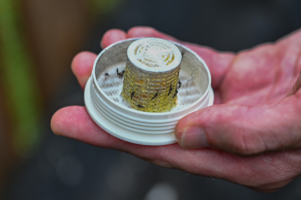 Photo by ALEX WROBLEWSKI / AFP Todd Montgomery, owner of Bee Safe Mosquito Control, disperses Aedes Albopictus mosquitos in Silver Spring, Maryland, on August 4, 2026.