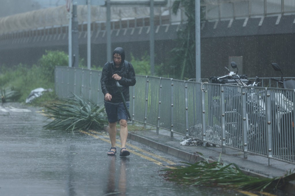 A man walks amid rain as Typhoon Wipha approaches. (Reuters)