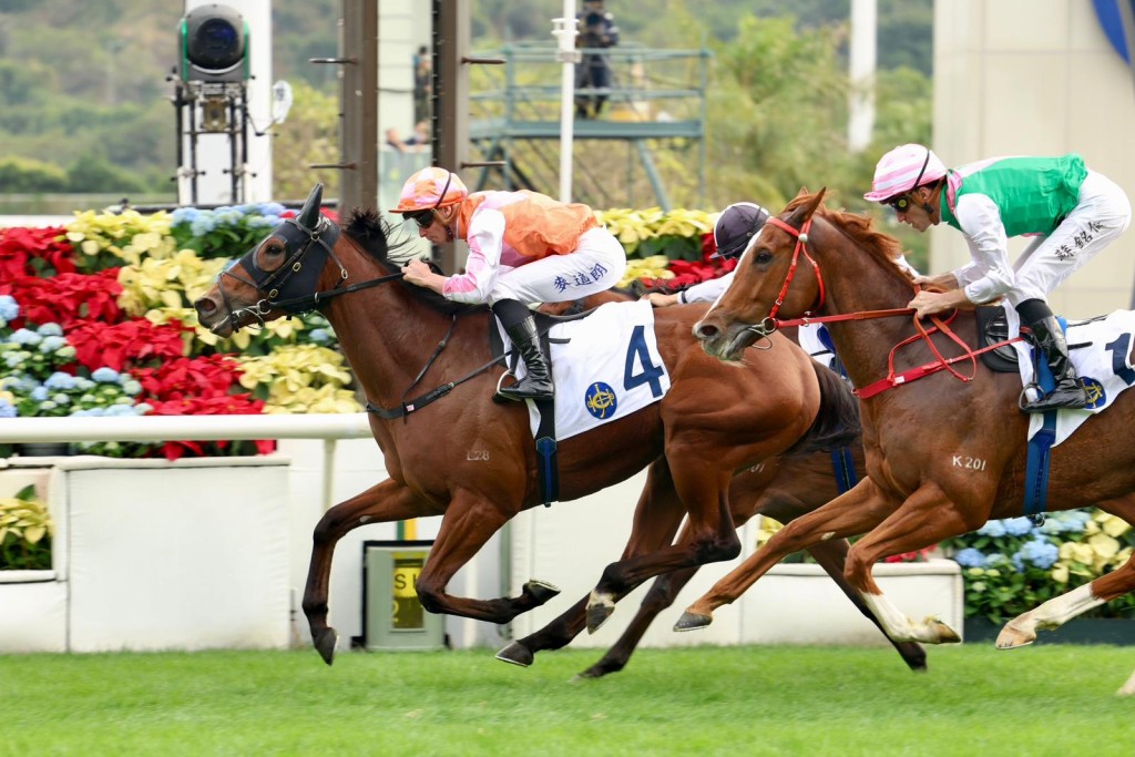 Helene Supafeeling. Sing Tao