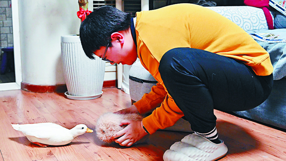 Zhang Yachun plays with her fluffy AI-powered robot and pet duck. AFP Zhang Yachun plays with her fluffy AI-powered robot and pet duck. AFP