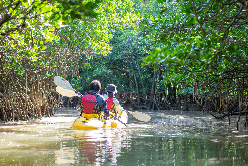 Kayaking on Iriomote Island