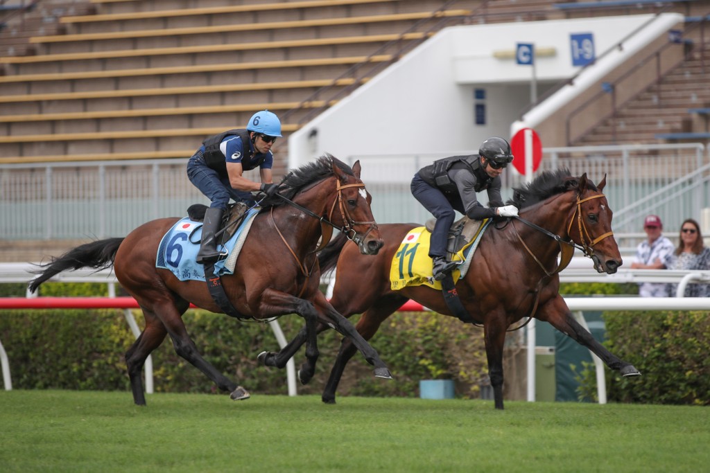 Trackwork times have moved from manual to a state-of-the-art system used in F1 (HKJC) 