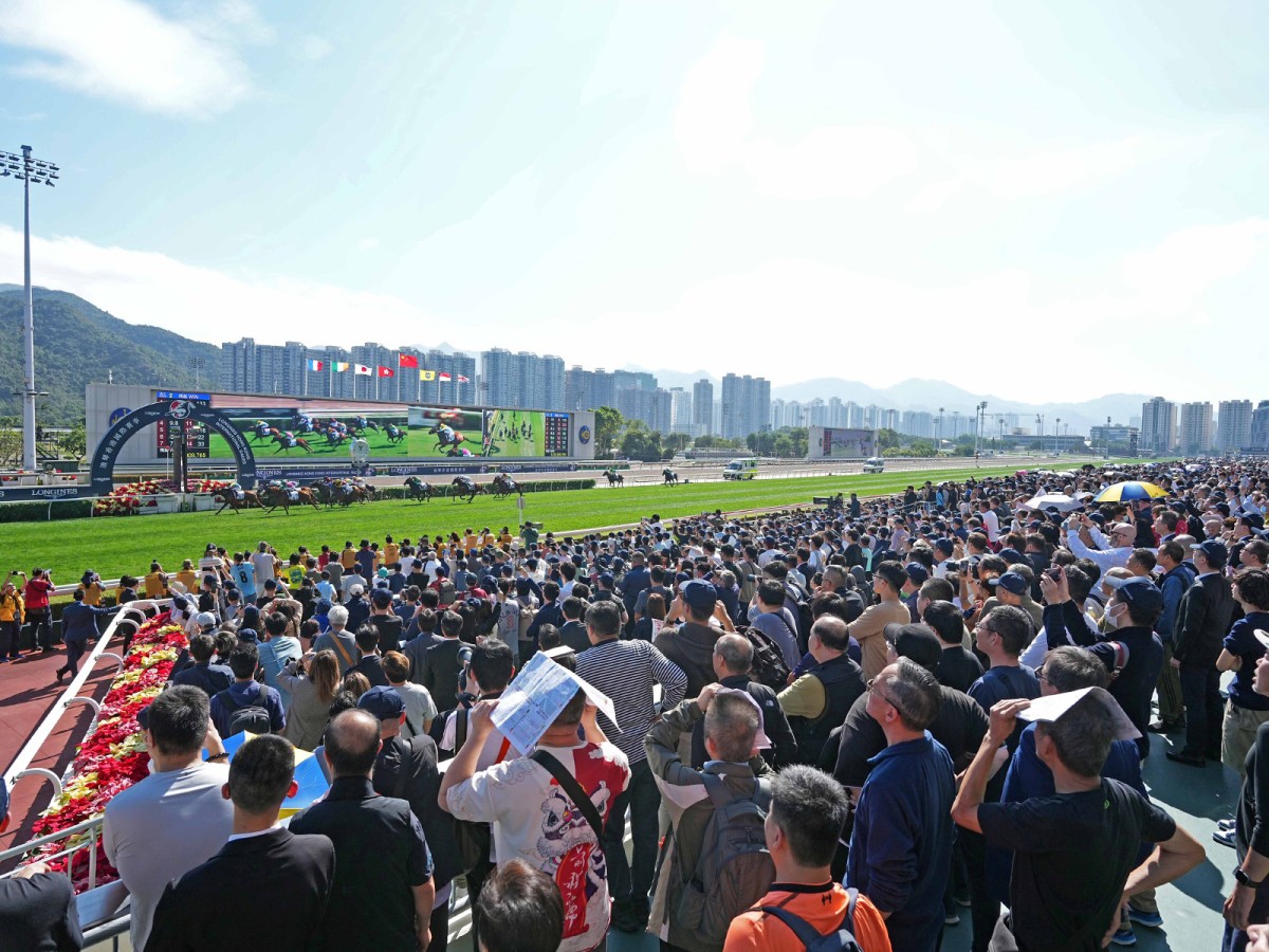 thestandard.com.hk - Luke Middlebrook - Luke Middlebrook's late mail and market analysis: Sha Tin, Sunday, February 1.