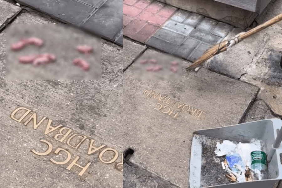 thestandard.com.hk - The Standard 英文虎報 - Fate of newborn street rats rattles online debate