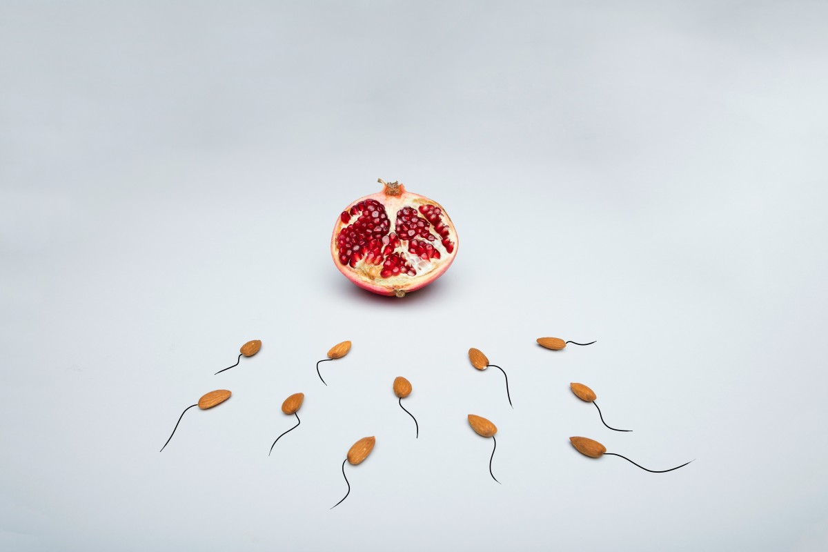 thestandard.com.hk - Khan Heeba Lazmi - Sperm count have dropped 60%: Scientists warn of environmental crisis