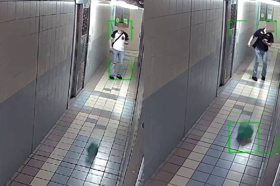 thestandard.com.hk - The Standard 英文虎報 - Viral video shows HK delivery driver 'bowling' parcels to doorstep, sparking online debate