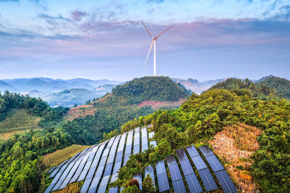 thestandard.com.hk - The Standard 英文虎報 - Green dilemma': China's solar boom hurt birds, says study