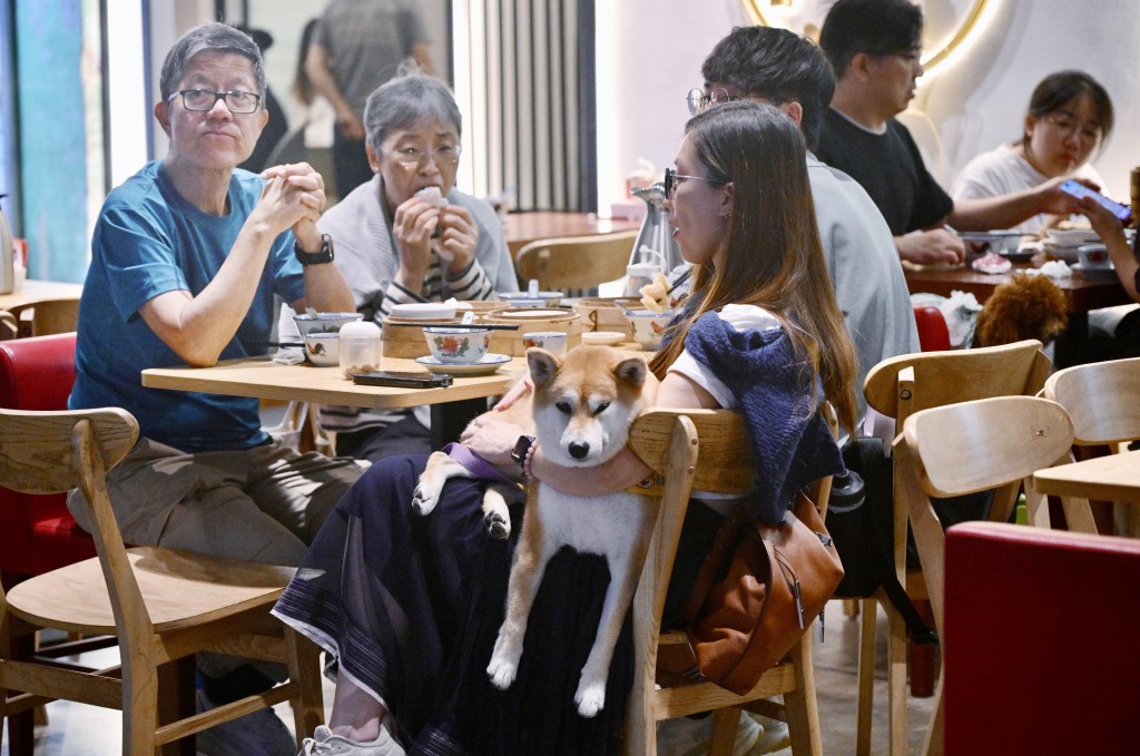 thestandard.com.hk - The Standard 英文虎報 - Restaurant dog-entry applications surpass 1,400 in first week, exceeding expectations