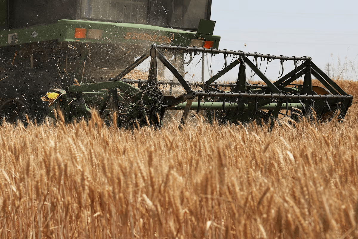 thestandard.com.hk - The Standard 英文虎報 - Ample world inventories may soften El Nino food supply shock
