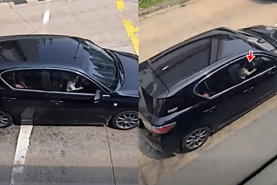 Mainland driver arrested after viral video shows toddler steering car
