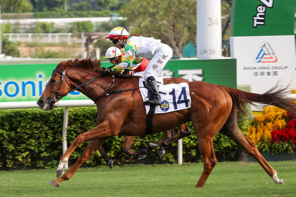 thestandard.com.hk - Luke Middlebrook - RACEDAY FOCUS: Best bets and market analysis