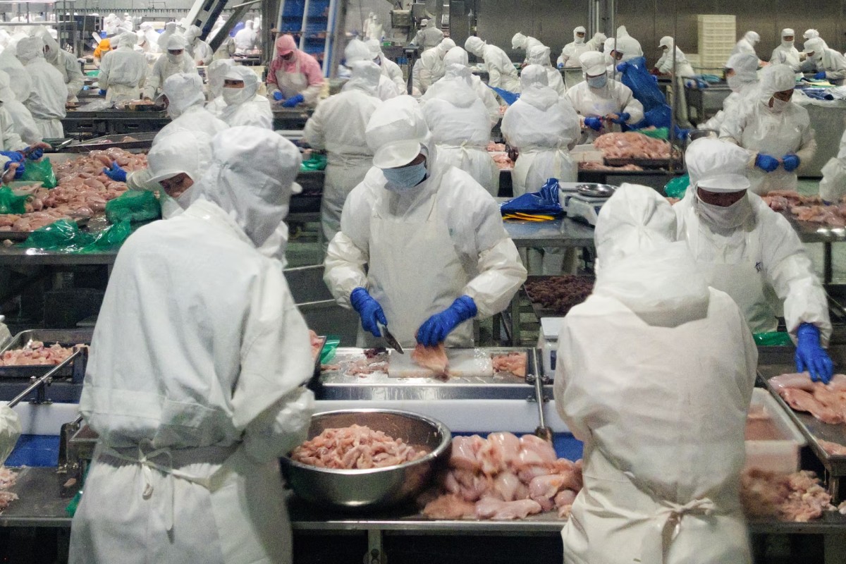 thestandard.com.hk - The Standard 英文虎報 - This Chinese export boom really has legs - and wings
