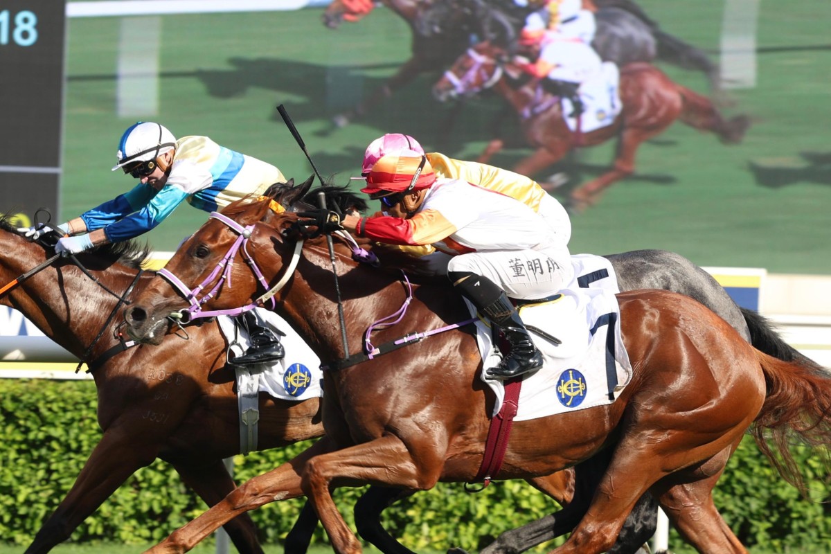 Raceday Focus: De Melo maintains run, Cruz finds a young talent and ...
