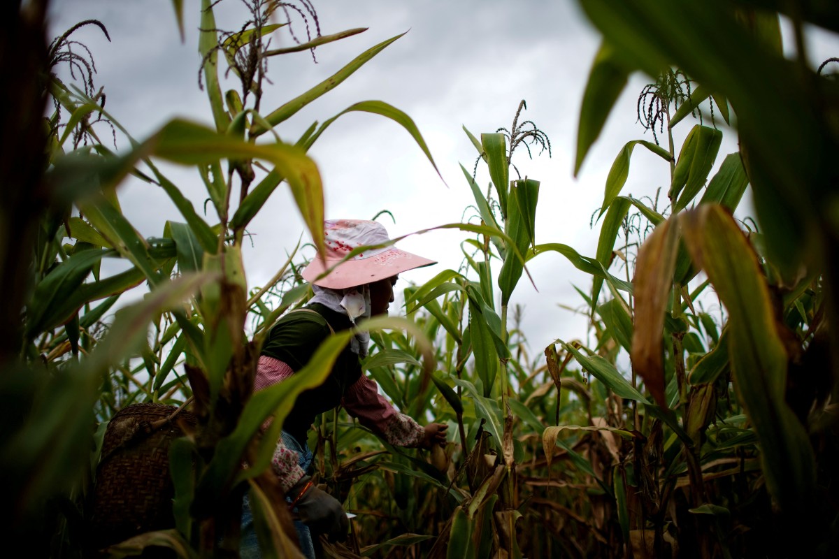 thestandard.com.hk - The Standard 英文虎報 - Beijing expands funding tools to support food security, rural modernization
