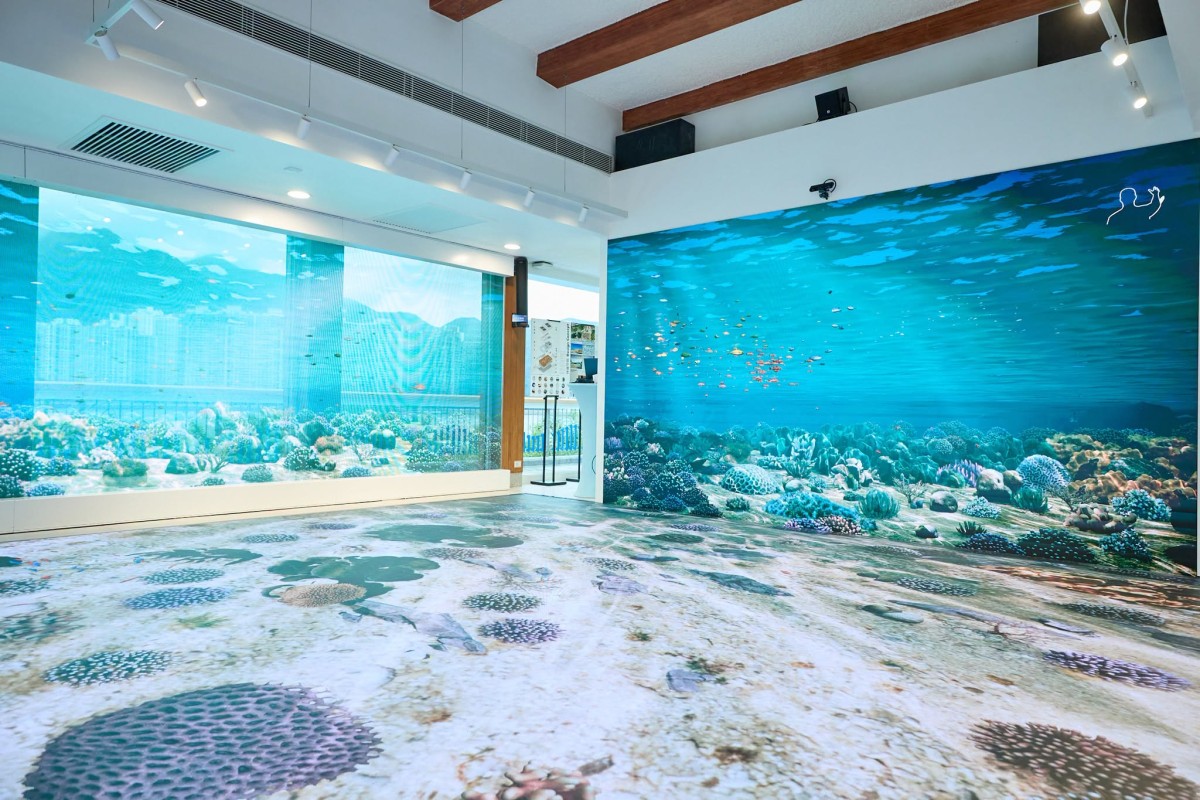 thestandard.com.hk - Judy Cui - HK's first interactive circular design center showcases eco-tourism potential