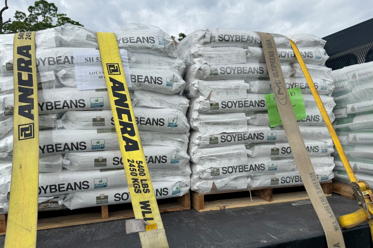 China hits 12 million ton US soybean target pledged in trade truce