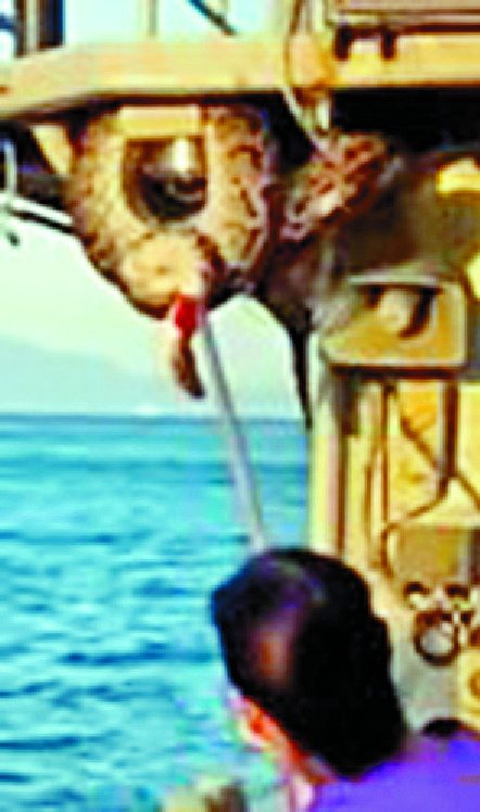Marine cops in wriggle riddle
