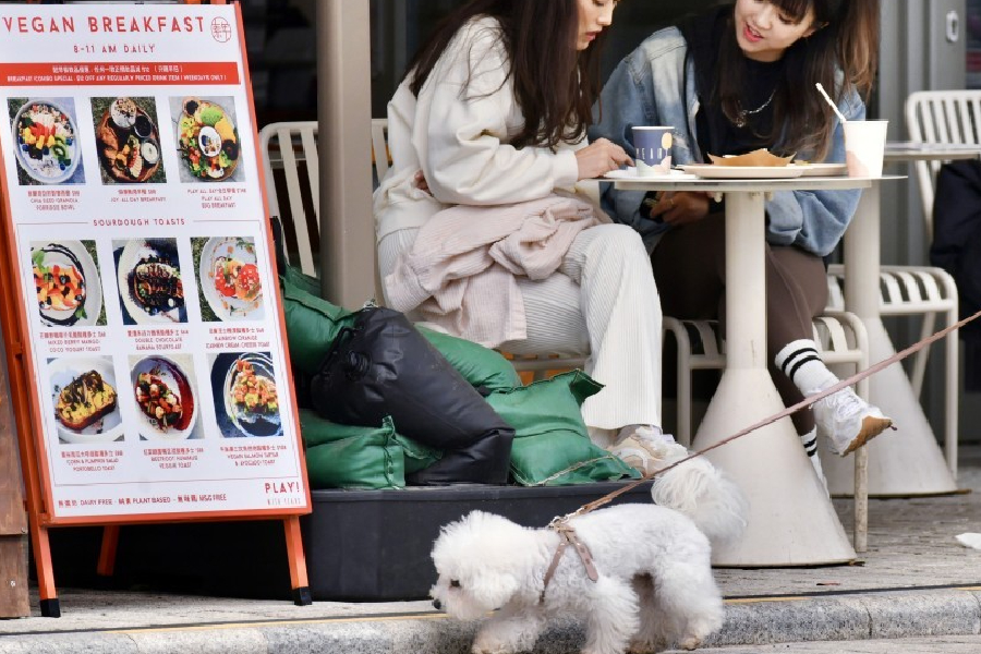 thestandard.com.hk - The Standard 英文虎報 - Dining with dogs: Hong Kong outlines rules for new pet-friendly restaurant scheme launching in July