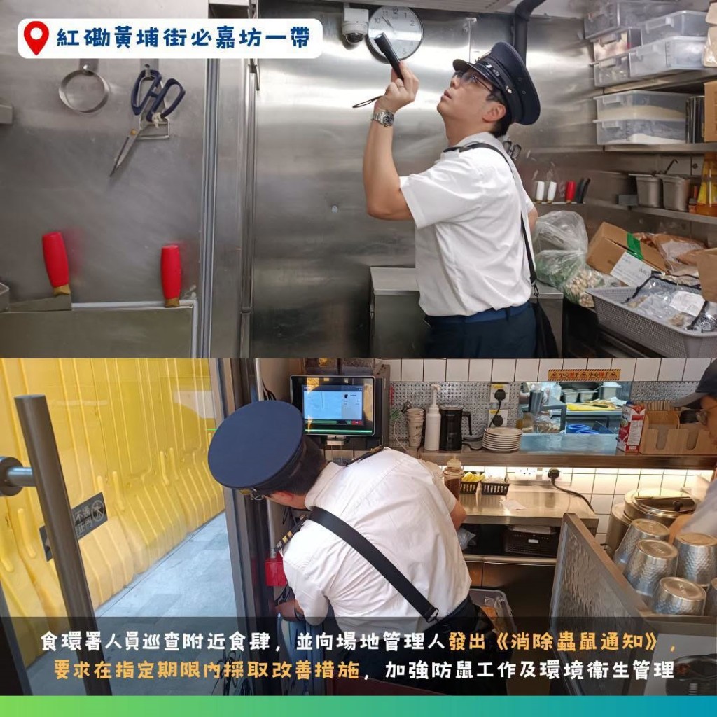 FEHD steps up rodent control after rat sightings in Hung Hom and Kwai Fong